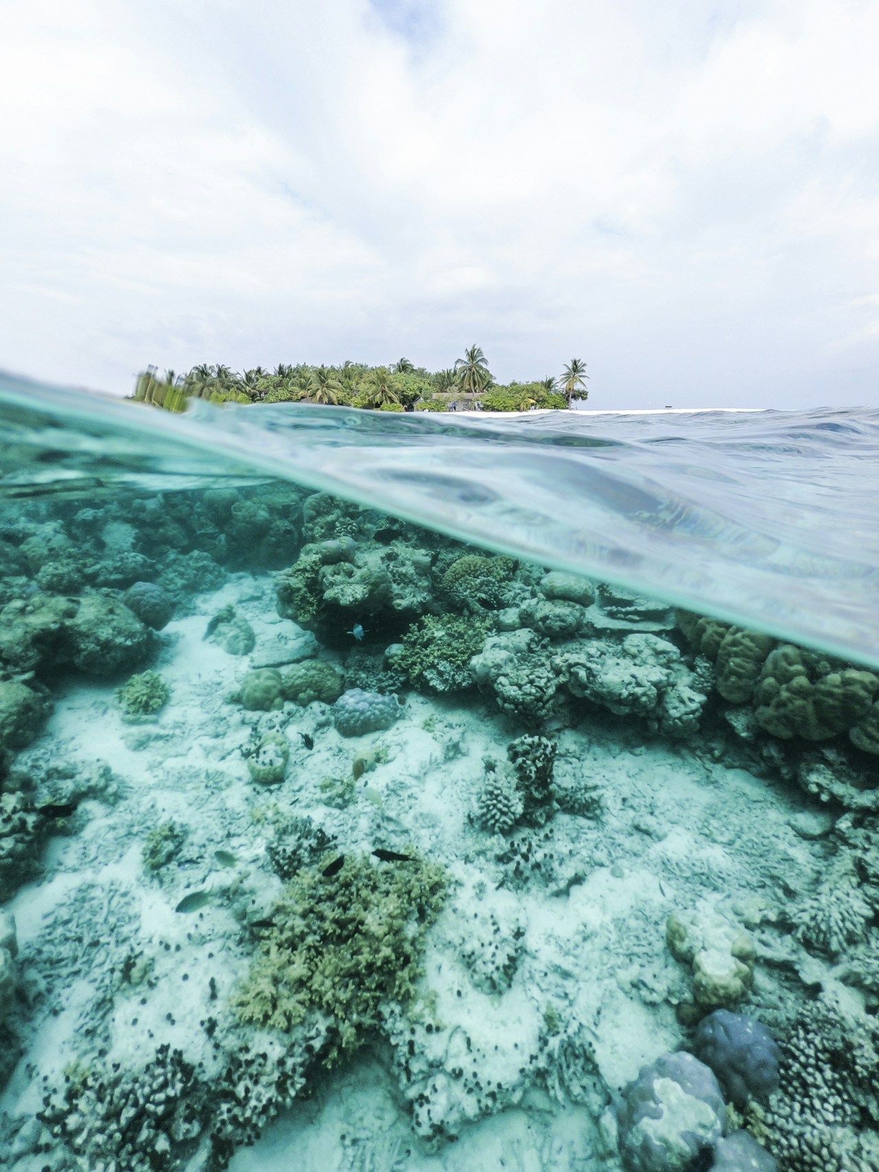Maldives Overwater Bliss gallery 1